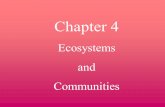 Chapter 4 Ecosystems and Communities.