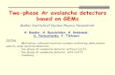 1 Two-phase Ar avalanche detectors based on GEMs A. Bondar, A. Buzulutskov, A. Grebenuk, D. Pavlyuchenko, Y. Tikhonov Budker Institute of Nuclear Physics,
