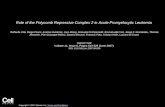 Role of the Polycomb Repressive Complex 2 in Acute Promyelocytic Leukemia Raffaella Villa, Diego Pasini, Arantxa Gutierrez, Lluis Morey, Manuela Occhionorelli,