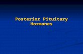 Posterior Pituitary Hormones. ADH (Vasopressin) & Oxytocin ADH (Vasopressin) & Oxytocin Nonapeptides (9 a.a) Known as neurohormones Synthesized in the.