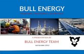 BULL ENERGY ENGINEERING | PROCUREMENT | CONSTRUCTION A PRESENTATION BY BULL ENERGY TEAM SEPTEMBER 2012.