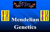 MendelianGenetics. (I) Foundations of Genetics (A) Heredity Traits (characteristics) are passed down from the parent to the offspring. Traits (characteristics)