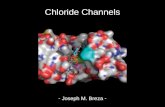Chloride Channels - Joseph M. Breza -.