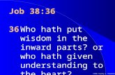 ©1999 Timothy G. Standish Job 38:36 36Who hath put wisdom in the inward parts? or who hath given understanding to the heart?
