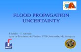 FLOOD PROPAGATION UNCERTAINTY J. Mulet – F. Alcrudo Area de Mecánica de Fluidos, CPS-Universidad de Zaragoza.