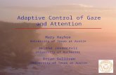 Adaptive Control of Gaze and Attention Mary Hayhoe University of Texas at Austin Jelena Jovancevic University of Rochester Brian Sullivan University of.