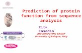 Rita Casadio BIOCOMPUTING GROUP University of Bologna, Italy Prediction of protein function from sequence analysis.