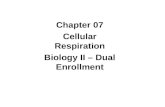 Chapter 07 Cellular Respiration Biology II – Dual Enrollment.
