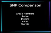 SNP Comparison Group Members Amira Jhelum Rahul Shweta.