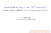 Nucleon Resonances from DCC Analysis of for Confinement Physics T.-S. Harry Lee Argonne National Laboratory Workshop on “Confinement.