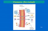 Osmosis (Revisited) Video. Density mass per volume of seawater Determined by temperature and salinity Density of seawater increases all the way to its.