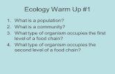 Ecology Warm Up #1 1.What is a population? 2.What is a community? 3.What type of organism occupies the first level of a food chain? 4.What type of organism.