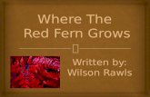 Where The Red Fern Grows Written by: Wilson Rawls.