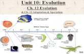 Ch. 12 Evolution & Ch. 13 Adaptation & Speciation
