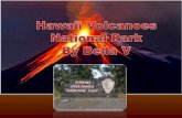 What year did the Park become an official National Park and why? On August 1, 1916, The Hawaii Volcanoes became a National Park. President Woodrow Wilson.