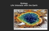 Ecology Life Interacts with the Earth. The Biosphere as a System ●Biosphere is the part of our planet that contains all of its living organisms ●Ecosystems.