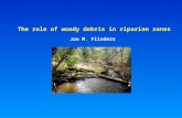 The role of woody debris in riparian zones Jon M. Flinders.
