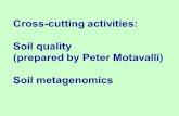 Cross-cutting activities: Soil quality (prepared by Peter Motavalli) Soil metagenomics.