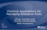 Practical Applications for Managing Biological Risks Direct Contact and Fomite Transmission Beef Producers.