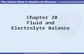 Chapter 20 Fluid and Electrolyte Balance. Body Fluids Water is most abundant body compound –References to “average” body water volume in reference tables.