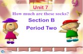 Section B Period Two Unit 7 How much are these socks?