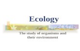 Ecology The study of organisms and their environment.