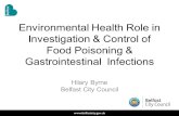 Environmental Health Role in Investigation & Control of Food Poisoning & Gastrointestinal Infections Hilary Byrne Belfast City Council.