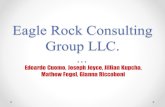 Eagle Rock Consulting Group LLC. Edoardo Cuomo, Joseph Joyce, Jillian Kupcha, Mathew Fogel, Gianna Riccoboni.