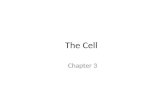 The Cell Chapter 3. Cell Diversity Cell Theory All living things are composed of cells Cells are the smallest unit to demonstrate the properties of life.