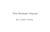 The Roman House By: Caitlin Harley. The Atrium The Atrium is a large open area in the Roman House, it was often used for family gatherings, vending, and.