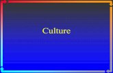 Culture. Story ßERUTLUC ßCULTURE Culture ßA source of freedom because it allows us to make and remake our world.