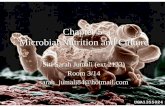 Chapter 5 Microbial Nutrition and Culture Siti Sarah Jumali (ext 2123) Room 3/14