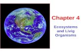 Ecosystems and Livig Organisms Chapter 4. The Gaia Theory Dynamic Equilibrium Negative Feedback Positive Feedback The Gaia Theory: The organic and inorganic.