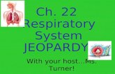 With your hostMs. Turner! Ch. 22 Respiratory System JEOPARDY!