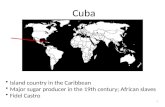 1 Cuba Island country in the Caribbean Major sugar producer in the 19th century; African slaves Fidel Castro.