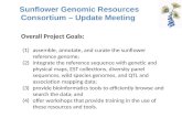 Sunflower Genomic Resources Consortium  Update Meeting (1)assemble, annotate, and curate the sunflower reference genome; (2)integrate the reference sequence.