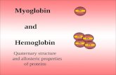 Myoglobin and Hemoglobin Quaternary structure and allosteric properties of proteins Fe.