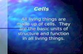 Cells All living things are made up of cells. They are the basic units of structure and function in all living things.