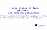 Hybrid states of Tamm plasmons and exciton-polaritons M Kaliteevski, S Brand, R A Abram, I Iorsh, A V Kavokin, T C H Liew and I A Shelykh.