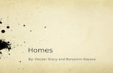 Homes By: Declan Stacy and Benjamin Kosove. City homes There are 2 basic types of houses in China  houses in the city and houses in the country. Many.