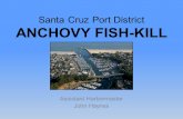 Santa Cruz Port District ANCHOVY FISH-KILL Assistant Harbormaster John Haynes.