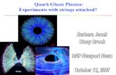 Quark Gluon Plasma: Experiments with strings attached?