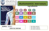Autonomic nervous system BMS 231: 2015/2016 DR SOBIA IKRAM DR AQEELA BANO DR SADIA FARHAN.
