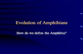 Evolution of Amphibians