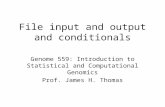 File input and output and conditionals Genome 559: Introduction to Statistical and Computational Genomics Prof. James H. Thomas.