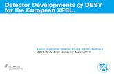 Detector DESY for the European XFEL. Heinz Graafsma; Head of FS-DS; DESY-Hamburg AIDA-Workshop; Hamburg; March 2012.
