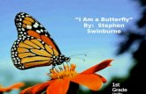 I Am a Butterfly By: Stephen Swinburne 1st Grade Hollie Smith.