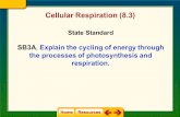 Cellular Respiration (8.3)
