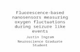 Fluorescence-based nanosensors measuring oxygen fluctuations during seizure like events Justin Ingram Neuroscience Graduate Student.