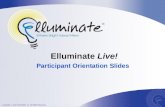 Elluminate Live! Participant Orientation Slides. Raise Hand Send Message Talk Polling Whiteboard Tools The Participant Interface